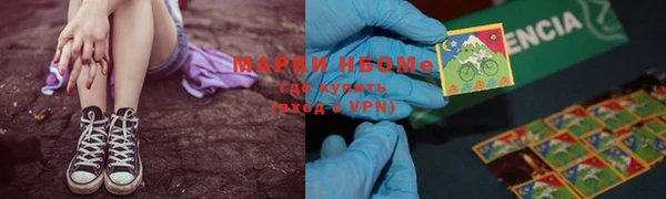 прущие грибы Навашино